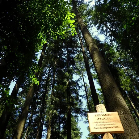 Rifugio La Foresta 3*