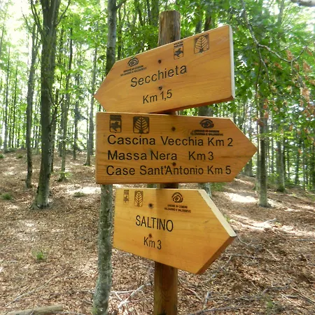 Rifugio La Foresta Hotel